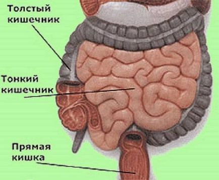 Mi a teendő, ha a székrekedés Mi a teendő, ha a székrekedés