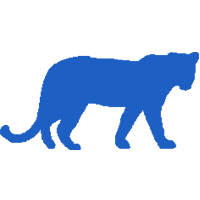 Alk - ázsiai leopárd macska, cica alk alk óvoda! (Egzotikus macskák) Alk - ázsiai leopárd macska, cica alk alk óvoda!