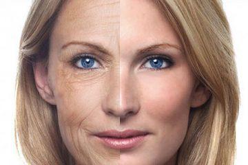 Anti-aging arckrém értékelés, összetétel, ár, vélemények, fotók, jó, a legjobb anti-aging