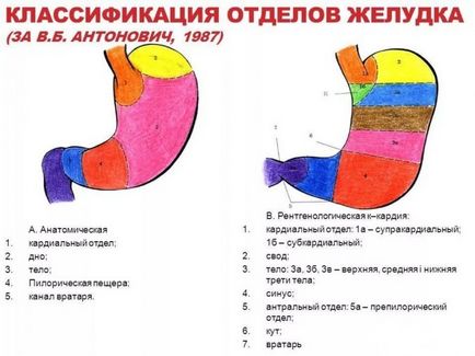 Antrum ahol osztályok, diagnosztika