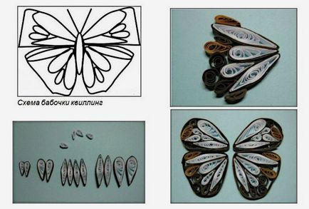 Butterfly Quilling lépésre műhely létrehozására fotó és videó utasítást, diagramok