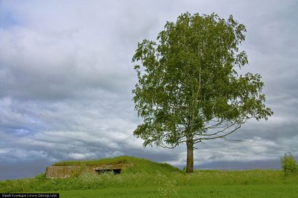 Borodino területén - hogyan juthatunk el oda, hogy mit lehet látni, fotók, és a történelem - a világ útjain