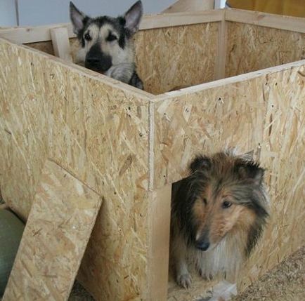 Kutyaházak saját kezűleg, rajzok és méretek a projekt kutyaól fából