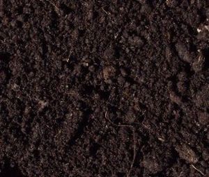 Mi ez gyep talaj hol kap ez a fajta, az utasítás előkészítése föld mix
