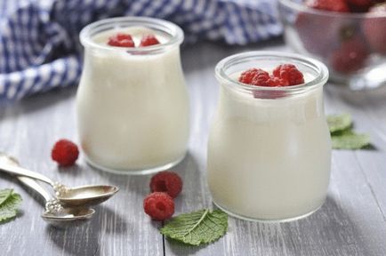 Házi joghurt nélkül joghurt 5 egyszerű receptek