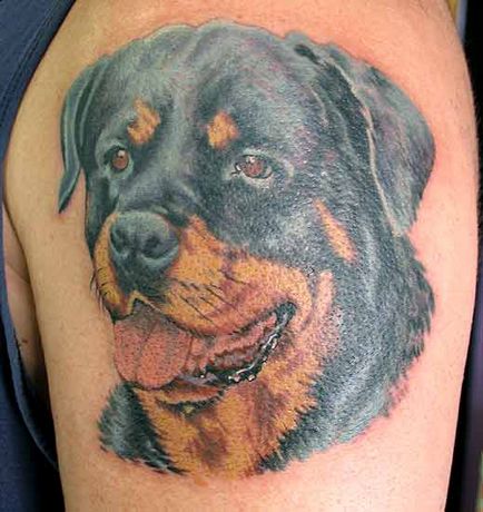 Fotók és fontosságát kutya tetoválás