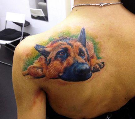 Fotók és fontosságát kutya tetoválás