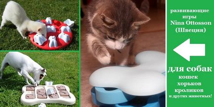 Interaktív játékok kutyáknak nina ottosson - online kisállat bolt Mr. wow