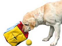 Interaktív játékok kutyáknak szórakoztató és oktatási