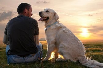 A tanulmány megállapította, hogy a kutyák képesek beszélni az emberekkel