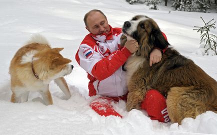 Milyen fajta kutya Putyin fotó és leírás