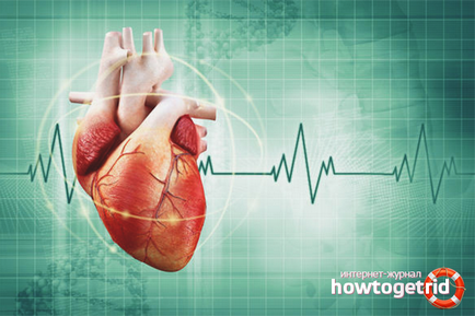 Hogyan lehet gyorsan csökkenti a szívfrekvenciát otthon
