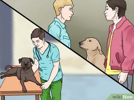 Hogyan büntetni egy kutya
