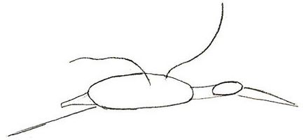 Hogyan kell felhívni a gólya rajz gólya szakaszokban ceruza