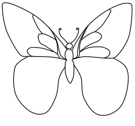 Hogyan kell felhívni a pillangó szakaszában ceruza, lessdraw