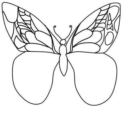 Hogyan kell felhívni a pillangó szakaszában ceruza, lessdraw