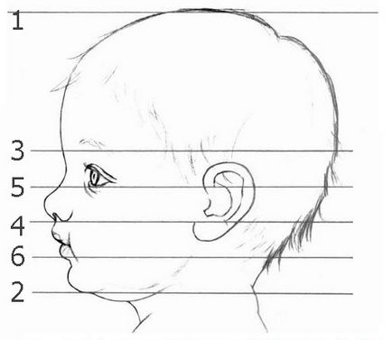 Hogyan kell felhívni a ceruzát fokozatosan szembe a baba feje