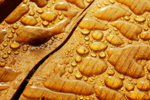 Hogyan állapítható meg, a fa nedvességtartalma típusú és mérési módszerek