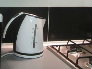 Melyik tea jobb választani elektromos lemezek a sípot (a konyhában kanna) Melyik tea jobb választani elektromos lemezek a sípot