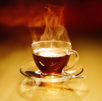 Melyik tea jobb választani elektromos lemezek a sípot (konyhai vízforraló) Melyik tea jobb választani elektromos lemezek a sípot