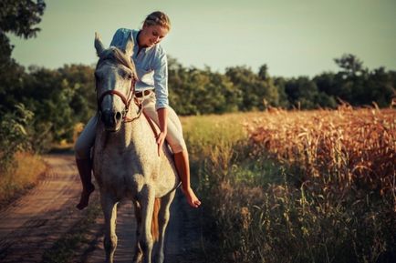 Hogyan barátkozni egy ló - alapján a kapcsolatok