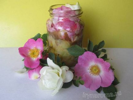 Hogyan készítsünk rózsaolaj saját kezűleg otthon, ízek és színek a egészségügyi szépség