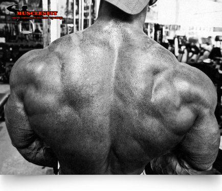 Hogyan, hogy a hátsó szélesebb vagy a titka a széles hátán, musclesfit