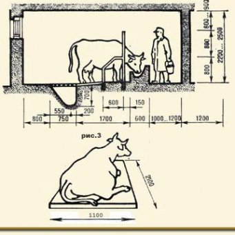 Hogyan készítsünk egy bódé a tehenek otthon