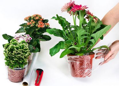 Hogyan készítsünk csomagolás virágok saját kezűleg