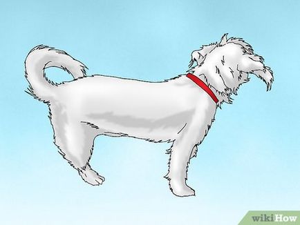 Hogyan törődik egy kutya egy rés pixel