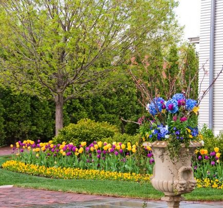 Virágágyás az udvaron egy családi ház fotó gyönyörű virágoskert tervezési ötletek