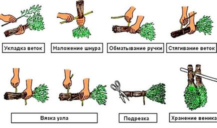 Amennyiben a betakarítási besoms üres, hogyan kell kötni a nyírfa, nyírfa és mikor kell gyűjteni