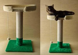 Körömkoptatók macskáknak kezüket fotók és mesterkurzus tételéről szóló utasítást az otthoni