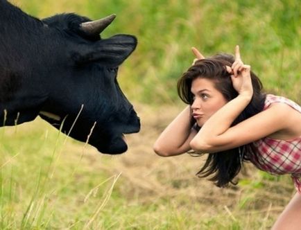 Krém a tehén - mindent tudni akartál tól Z-ig
