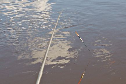 Chub halászati ​​májustól késő őszig