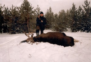 Elk csali (csali elk) csali jávorszarvas