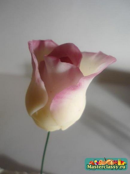 Mester osztályban a hideg porcelán rózsák kezdőknek fotók és videó