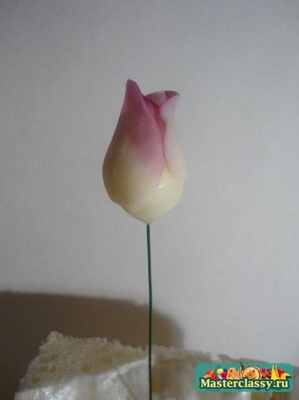 Mester osztályban a hideg porcelán rózsák kezdőknek fotók és videó