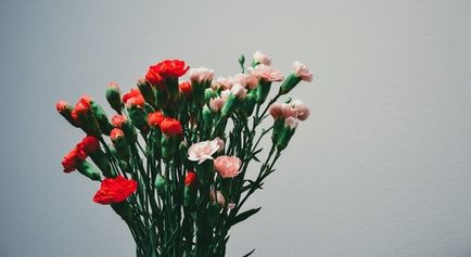 Általános kérdések az angol nyelvű szabályok, rendszerek, példák, angol tanfolyamok (nyelv) Általános kérdések az angol nyelvű szabályok, rendszerek, példák, angol nyelvtanfolyamok