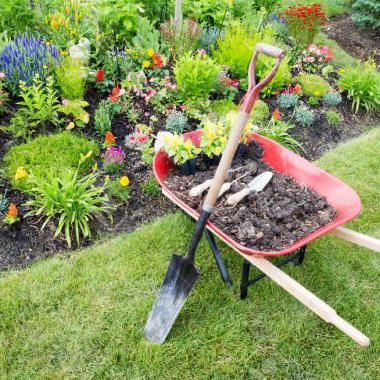 Alapjai kerttervezés stílusok és a terület megtisztításának szabályok