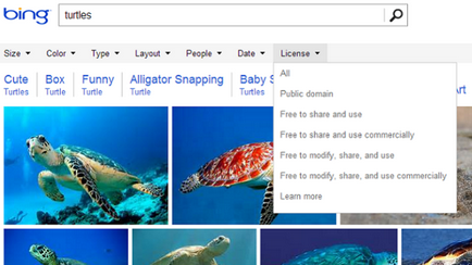 Miért jobb a Bing kereső google