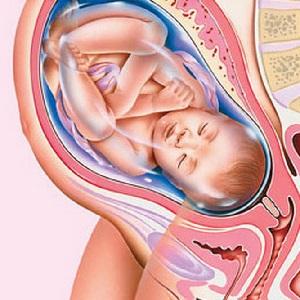 Méhlepényt szülés után, a szakértők arra a kérdésre válaszol a sorsa a gyermekülés
