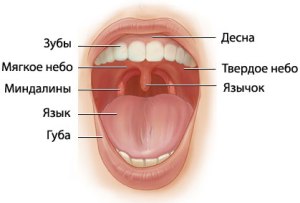 Folyamatosan piros torok felnőttek, és nem adja át, hogy mi okozza, és mit kell tenni