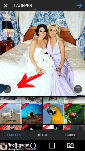 Ismételt közzététel Instagram - szól Instagram (Instagram) Ismételt közzététel Instagram - szól Instagram