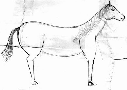 rajz egy ló