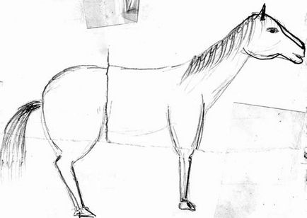 rajz egy ló