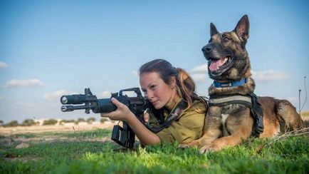 Kutyák számára a katonai szolgálat