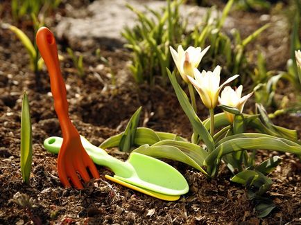 Szuperfoszfát és hogyan kell alkalmazni a kertben