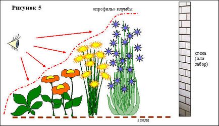virágágyások rendszer folyamatos virágzás évelők