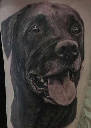 Tattoo kutya tetoválás értéke 30 fotók, vázlatok